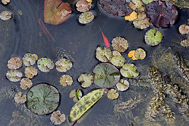 百万销量国产肉鸽续作《霓虹深渊2》免费Demo已上线Steam